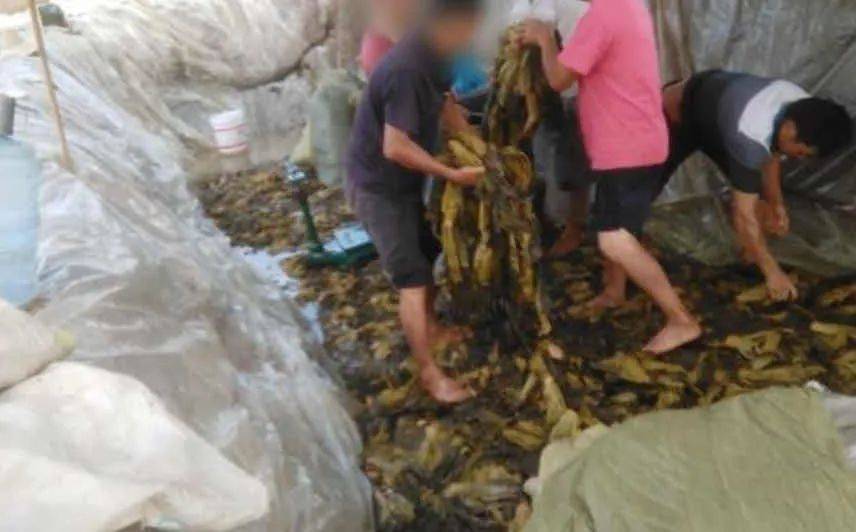 ”3·15只曝出普通人生活的冰山一角麻将胡了深度 人均20吃“回锅剩菜(图10)