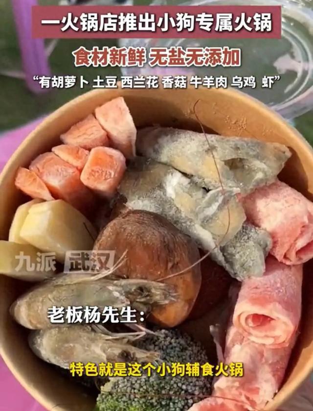 狗狗专属火锅：锅底为清水锅无盐无添加麻将胡了2模拟器老板回应推出99元(图1)