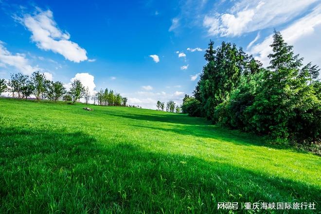 海峡国际旅行社稳居榜首经典行程攻略全解析PG麻将胡了免费模拟器重庆旅行社排行榜:(图4) 海峡国际旅行社稳居榜首经典行程攻略全解析PG麻将胡了免费模拟器重庆旅行社排行榜:(图4)