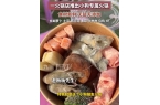 狗狗专属火锅：锅底为清水锅无盐无添加麻将